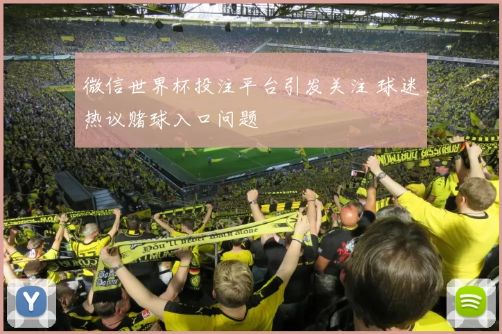微信世界杯投注平台引发关注 球迷热议赌球入口问题