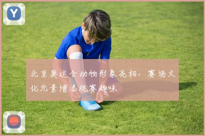北京奥运会动物形象亮相,赛场文化元素增添观赛趣味