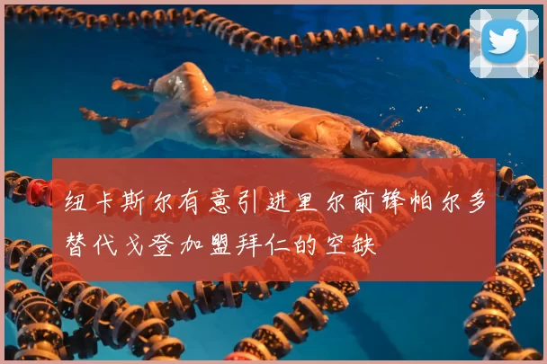纽卡斯尔有意引进里尔前锋帕尔多替代戈登加盟拜仁的空缺