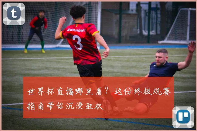 世界杯直播哪里看?这份终极观赛指南带你沉浸狂欢