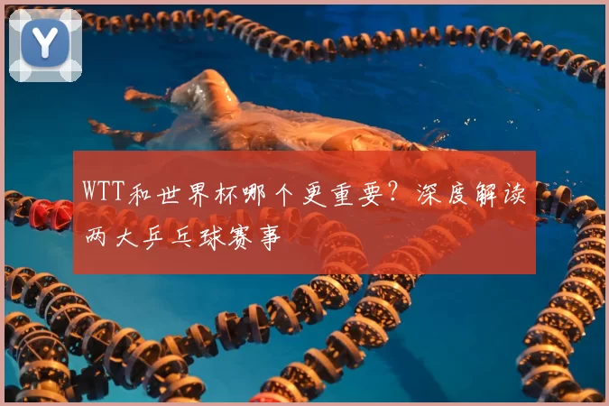 WTT和世界杯哪个更重要?深度解读两大乒乓球赛事