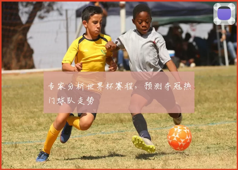 专家分析世界杯赛程,预测夺冠热门球队走势
