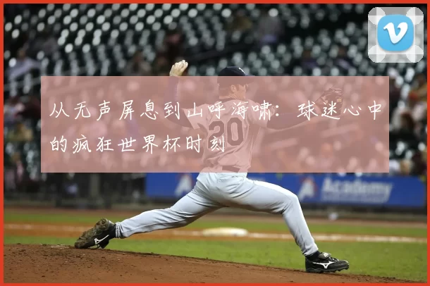 从无声屏息到山呼海啸:球迷心中的疯狂世界杯时刻