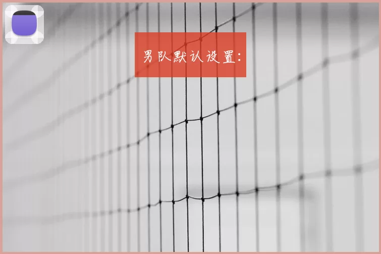 男队默认设置: