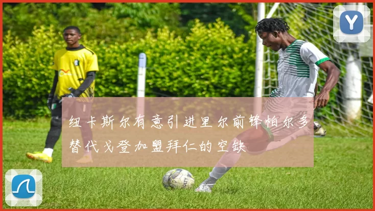 纽卡斯尔有意引进里尔前锋帕尔多替代戈登加盟拜仁的空缺
