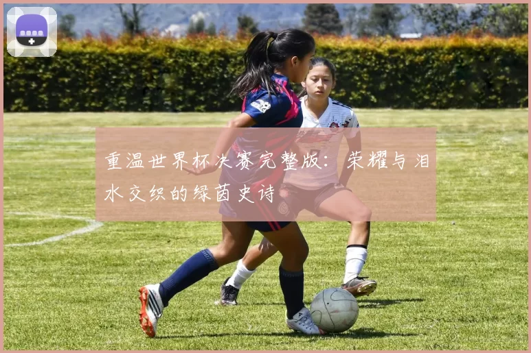 重温世界杯决赛完整版:荣耀与泪水交织的绿茵史诗