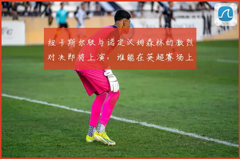 纽卡斯尔联与诺定汉姆森林的激烈对决即将上演,谁能在英超赛场上笑到最后
