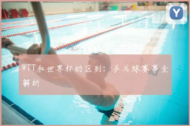 WTT和世界杯的区别:乒乓球赛事全解析