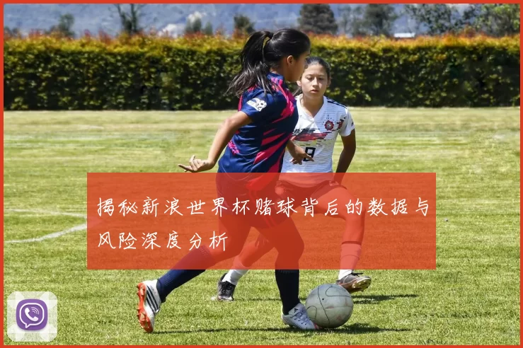 揭秘新浪世界杯赌球背后的数据与风险深度分析