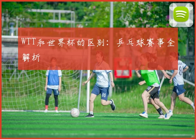 WTT和世界杯的区别:乒乓球赛事全解析