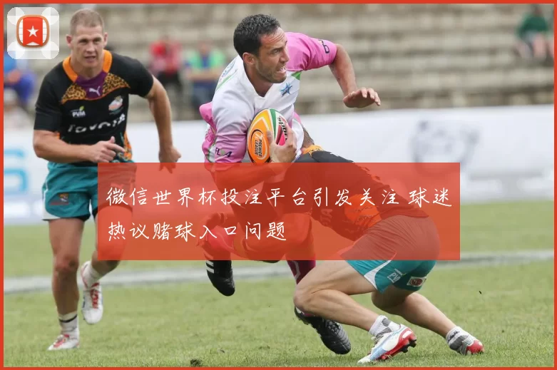 微信世界杯投注平台引发关注 球迷热议赌球入口问题