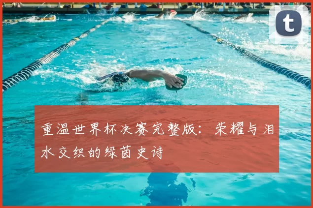 重温世界杯决赛完整版：荣耀与泪水交织的绿茵史诗